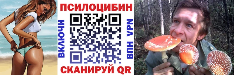 Псилоцибиновые грибы GOLDEN TEACHER  Купить закладки  Дегтярск 